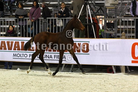 PAN CARRE_MILANO_2010_SS3_8385.jpg